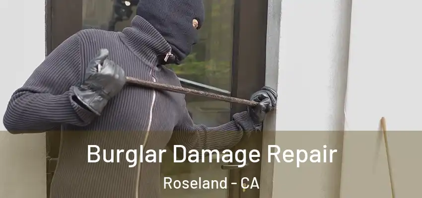  Burglar Damage Repair Roseland - CA