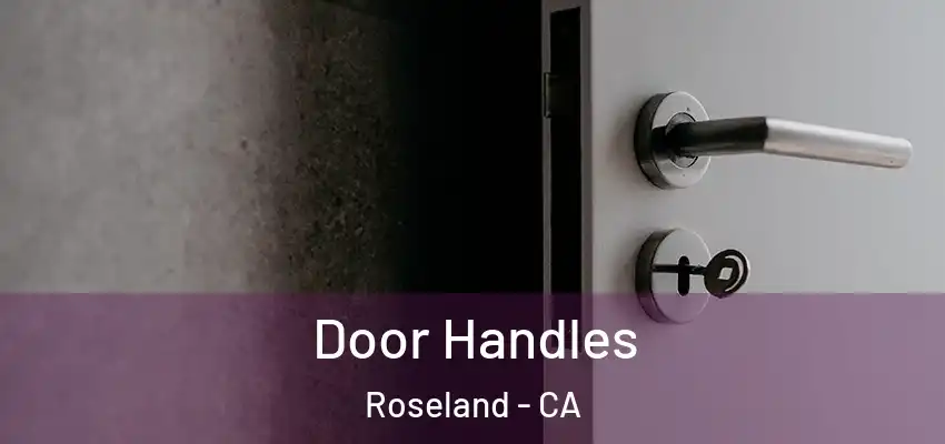  Door Handles Roseland - CA