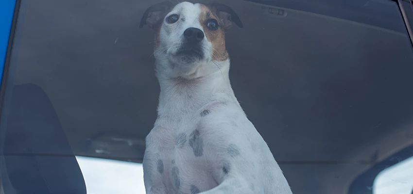 Car Lockout Solutions in Roseland, California