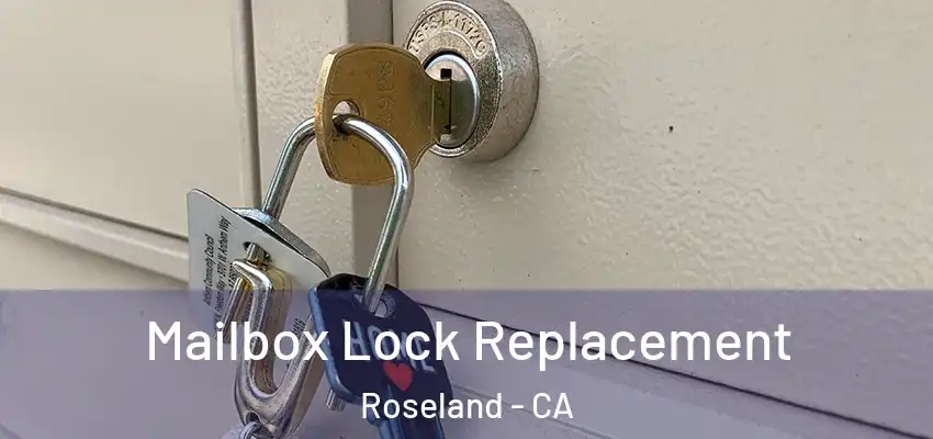  Mailbox Lock Replacement Roseland - CA