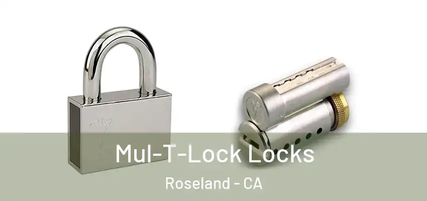  Mul-T-Lock Locks Roseland - CA
