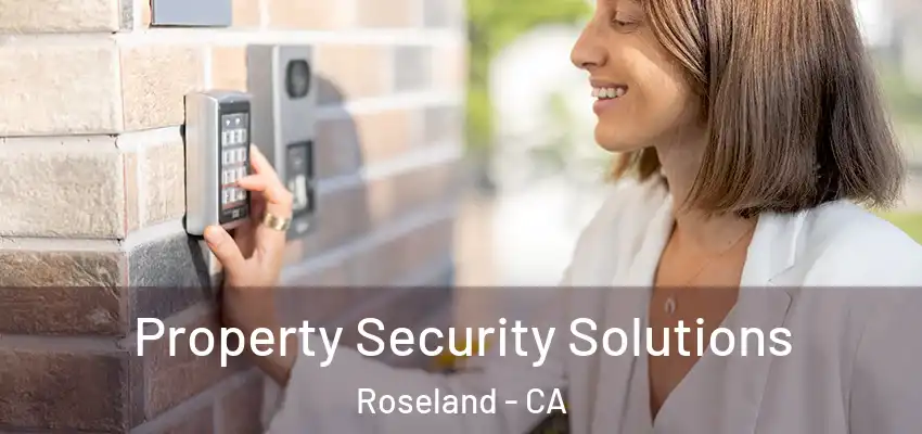  Property Security Solutions Roseland - CA